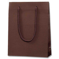 【ケース販売】HEIKO 紙袋 ブライトバッグ MM チョコブラウン(MT) 006138370 1ケース(10枚入×30袋)（直送品）