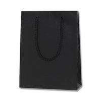 【ケース販売】HEIKO 紙袋 ブライトバッグ MM 黒(MT) 006138375 1ケース(10枚入×30袋 合計300枚)（直送品）
