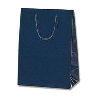 【ケース販売】HEIKO 紙袋 ブライトバッグ T-2 紫紺 006142116 1ケース(10枚入×40袋 合計400枚)（直送品）