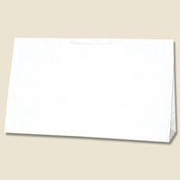 【ケース販売】HEIKO 紙袋 広口チャームバッグ BR-2 白無地 006442401 1ケース(10枚入×5袋 合計50枚)（直送品）