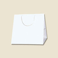 【ケース販売】シモジマ HEIKO 紙袋 ブライトバッグ C0 白 006459400 1ケース(10枚入×5袋 合計50枚)（直送品）