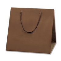 【ケース販売】HEIKO 紙袋 ブライトバッグ C1 チョコブラウン(MT) 006459502 1ケース(10枚入×20袋)（直送品）