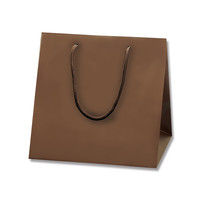 【ケース販売】HEIKO 紙袋 ブライトバッグ C2 チョコブラウン(MT) 006459602 1ケース(10枚入×20袋)（直送品）