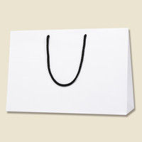 【ケース販売】HEIKO 紙袋 ブライトバッグ 45-13 白(MT) 006460000 1ケース(10枚×15袋 計150枚)（直送品）