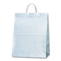 シモジマ ワイドバッグ M ブルー 006460205 1セット（10枚入×10束）（直送品）