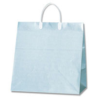 シモジマ ワイドバッグ S ブルー 006460305 1セット（10枚入×10束）（直送品）