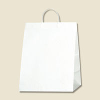 シモジマ ワイドバッグ M ホワイト 006460801 1セット(10枚×5袋 合計50枚)