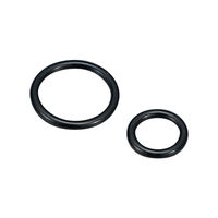 キング パーフロOリング 19.8/2.4 8030-P20 1個 1-8176-18（直送品）