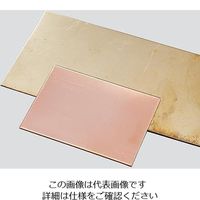 アズワン 金属プレート ステンレス 50×50×0.5 3-3111-01 1セット(10枚)（直送品）