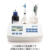 ハンナ インスツルメンツ・ジャパン 酸度/pH測定器 HI 84532 1個 3-4720-01（直送品）