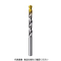 グーリングジャパン グーリング ハイスストレートドリル レギュラー タイプN 5.0mm 9651 5.000 1本 835-9570（直送品）