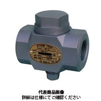ベン スチームトラップ AT6ーNー25A 1個（直送品）