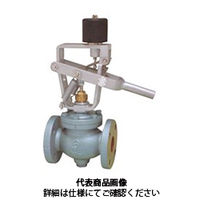 ベン 電磁緊急遮断弁 EIFSーRBー125A 1個（直送品）