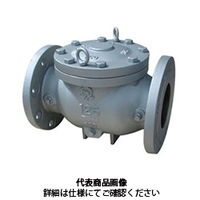 ベン ストレーナ KT4HーMー250A 1個（直送品）