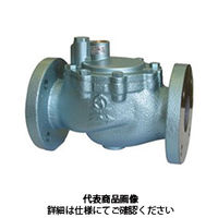 ベン 定水位弁 LP8N B