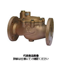 ベン 定水位弁 LP9NーFー80A 1個（直送品）