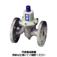 ベン 減圧弁 RD35FNーDLー32A 1個（直送品）