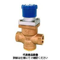ベン 減圧弁 RD40ーJLー20A 1個（直送品）