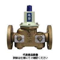 ベン 減圧弁 RDB33FNーFLー20A 1個（直送品）