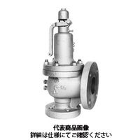 ベン 安全弁 SF13LーG1ー25A SF13L-G1-25A 1個（直送品）