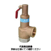 ベン 安全弁 SL37VNーD2ー25A 1個（直送品）