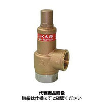 ベン 安全逃し弁 SL38ーD2ー20A 1個（直送品）