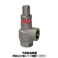 ベン 安全逃し弁 SL40ーD1ー20A 1個（直送品）