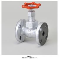 プロテリアル マレブルディスク入玉形弁【フランジ・強化PTFE・内ネジUB】 M10KFDー40A M10KFD-40A 1個（直送品）