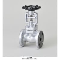 SUSネジ込みバルブ　玉型弁15A×5個 SUSネジ込みバルブ 玉型弁15A×5個 ステンレス製ねじ込み式仕切