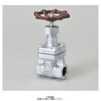 桑名金属工業 マレブル仕切弁【ねじ込み・内ねじBB】 M20KSSー