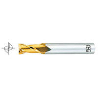 (新品)OSG CPM エンドミル ショート 刃径5mm 2枚刃  10本 CPMエンドミル（2刃直刃成形用ミディアム形） CPM-STDN