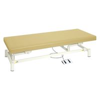 【軒先渡し】高田ベッド 電動診察台(低床タイプ) TB-1151 1台 24-4982-0302（直送品）