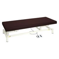 【軒先渡し】高田ベッド 電動診察台(低床タイプ) TB-1151 1台 24-4982-0404（直送品）