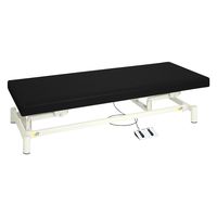 【軒先渡し】高田ベッド 電動診察台(低床タイプ) TB-1151 1台 24-4982-0503（直送品）