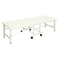 【軒先渡し】高田ベッド 折りたたみ式診察台(ライトベンダー) TB-1282 1台 24-4129-0201（直送品）