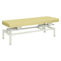 【軒先渡し】高田ベッド 手動式ハイロー診察台 TB-913 1台 20-3742-0002（直送品）
