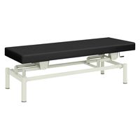 【軒先渡し】高田ベッド 手動式ハイロー診察台 TB-913 1台 20-3742-0103（直送品）