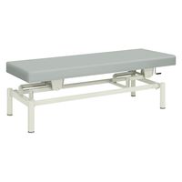 【軒先渡し】高田ベッド 手動式ハイロー診察台 TB-913 1台 20-3742-0109（直送品）