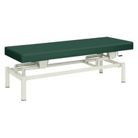 【軒先渡し】高田ベッド 手動式ハイロー診察台 TB-913 1台 20-3742-0115（直送品）