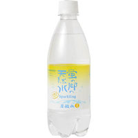 友桝飲料 蛍の郷の天然水スパークリング レモン 500ml 1セット（48本）