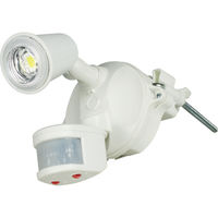 LEDセンサーライト クラブアイ