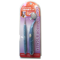 口腔内鏡セット LEDライト付き デンタルコンセプト