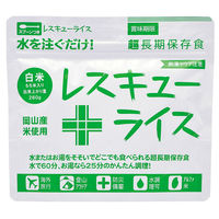 サンズ レスキューライス 白米 65140 1箱（100個）（直送品）