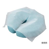 アズワン ディスポフェイスペーパー 280×400mm 500枚入 DFP-40 1箱(500枚) 7-3615-01（直送品）