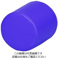弘益 キッズガーデン クッション・丸 ブルー KID-K10-BL 1個 7-3366-01（直送品）