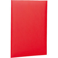 ナカバヤシ 証書ファイルレザー B4 赤 FSL-B4R 10冊（直送品）