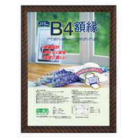 ナカバヤシ 樹脂製賞状額 金ラック B4 フ-KWP-16 1セット(10個)