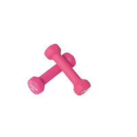 Amazon.co.jp: ウエイトバンド R-325-B(0.5KG)ﾋﾟﾝｸ ｳｴｲﾄﾊﾞﾝﾄﾞ(23