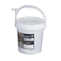 JEJアステージ　ペイント用フタ付きバケツ＃5　ナチュラル　　1個