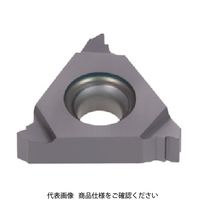 タンガロイ（Tungaloy） タンガロイ 旋削用ねじ切り 16ER125ISO-M NS9530 818-7694（直送品）